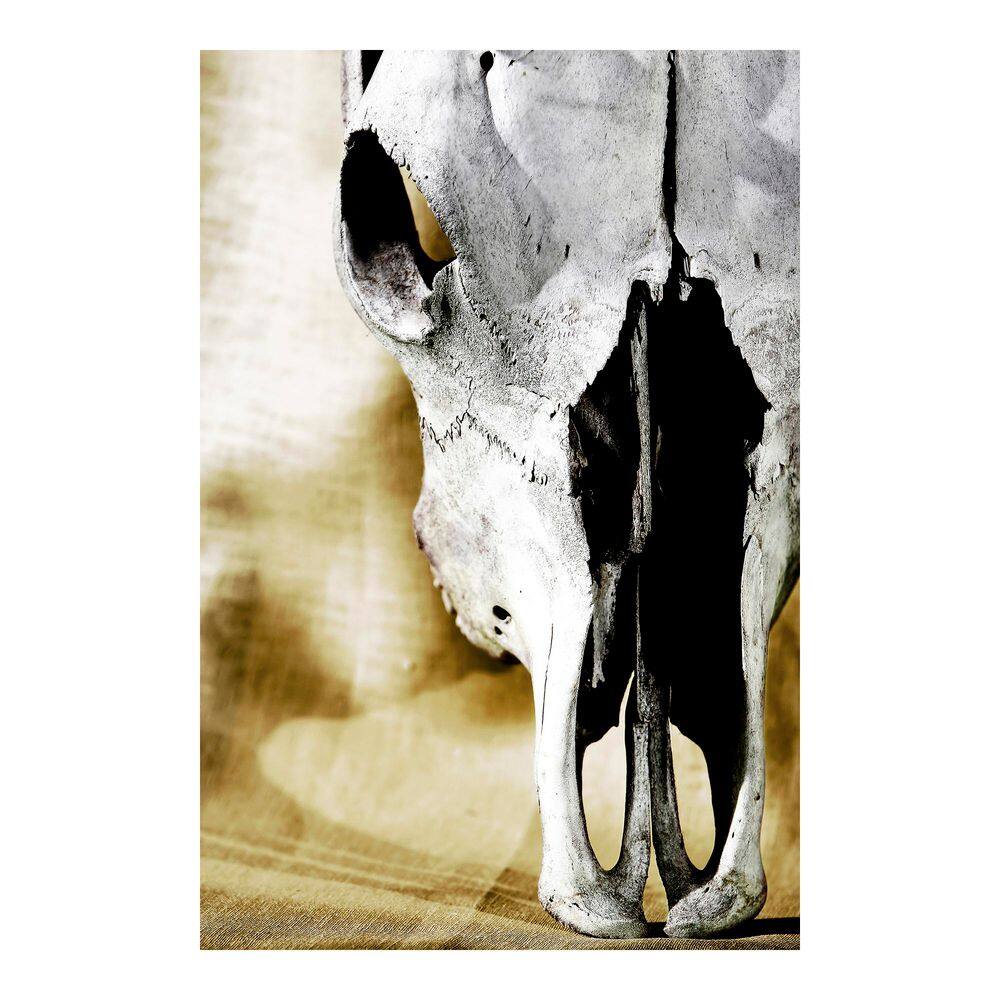 1-Piece Unframed Graphic Print Animal Art Print 60 in. x 40 in. price history on PriceWatchPro