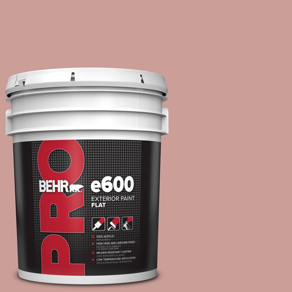 5 gal. #170F-4 Fondue Flat Exterior Paint price history on PriceWatchPro