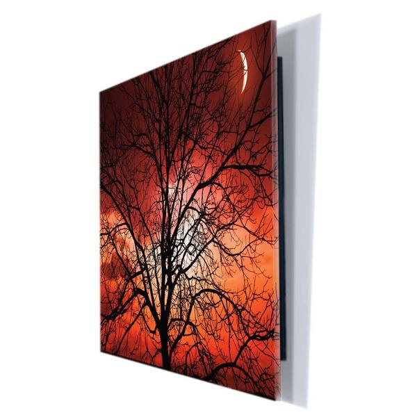 Trademark Fine Art 18 in. x 24 in. "Big Bad Moon" by Philippe Sainte-Laudy Printed Acrylix Wall Art