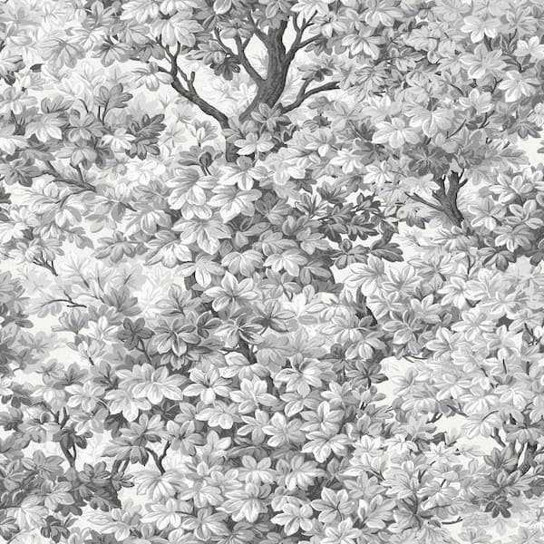 Graham & Brown Coppice Mono Grey Wallpaper