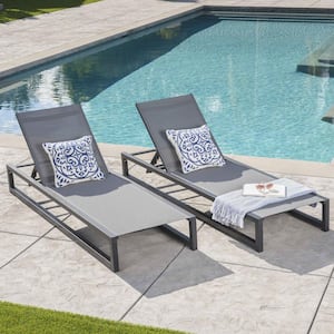 Anky 2-Piece Aluminum Outdoor Chaise Lounge Chair Set, Reclining Chair with Adjustable Backrest