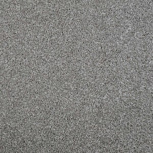 Barx I  - Dorian - Gray 43 oz. Triexta Texture Installed Carpet