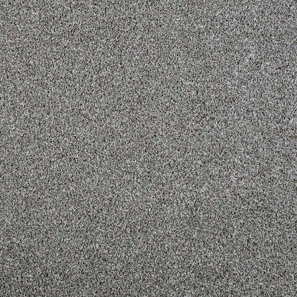 Lifeproof with Petproof Technology Barx I  - Dorian - Gray 43 oz. Triexta Texture Installed Carpet