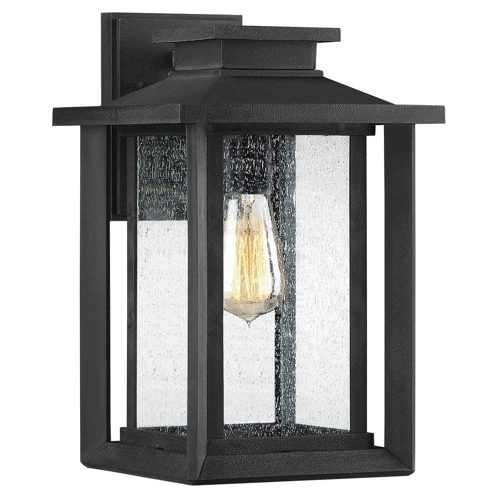 Wakefield Black Iron Outdoor Wall Lantern with Clear Seedy Glass