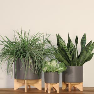 8 in. Matte Gray Ceramic Planter with Wood Stand