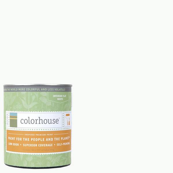 Colorhouse 1 qt. Imagine .01 Flat Interior Paint