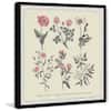 multi-colored-art-prints-grchi116bfpfl12-e1.1