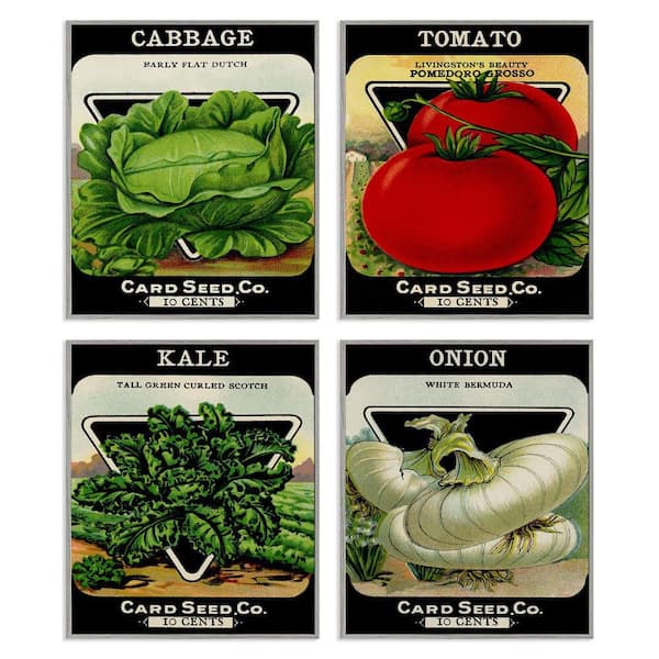 Vintage Garden Cabbage by Lil' Rue 4 Piece Gray Framed Food Giclee Art Print 20 in. x 16 in.