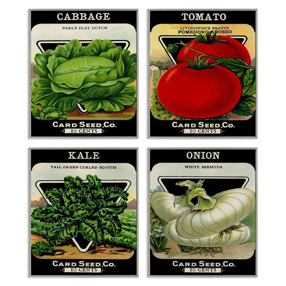 Vintage Garden Cabbage by Lil' Rue 4 Piece Gray Framed Food Giclee Art Print 14 in. x 11 in. price history on PriceWatchPro