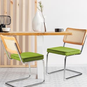 Metal Outdoor Dining Chair with Green Cushions, Velvet Rattan Dining Room Chairs with Metal Chrome Legs (2-Pack)