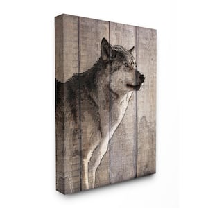 16 in. x 20 in. "Brown Wolf Planked Look Photography" by Kimberly Allen Canvas Wall Art