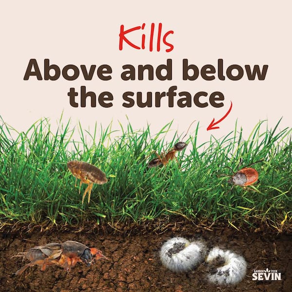 Have a question about Sevin 20 lbs. Lawn Insect Killer Granules