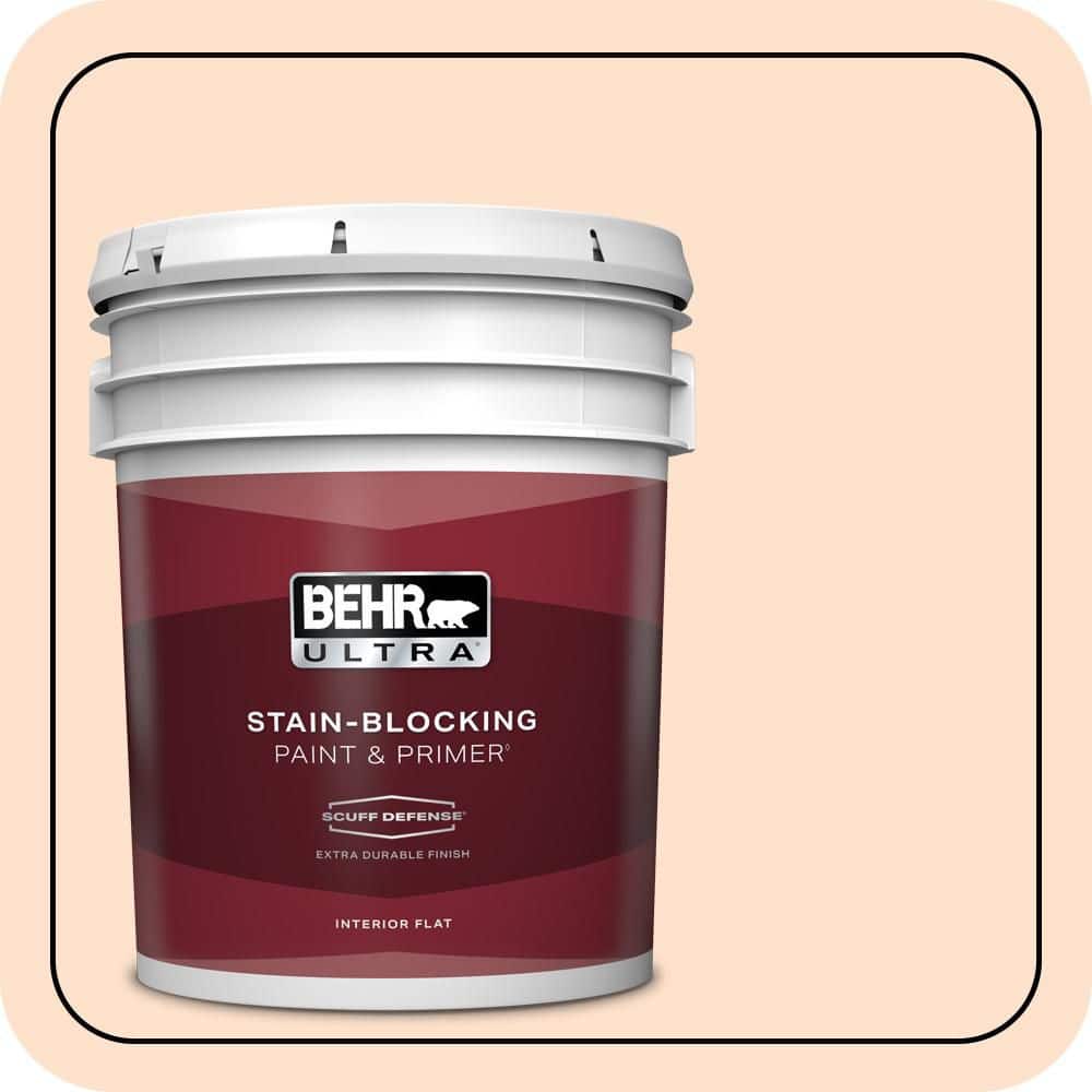 5 gal. #P200-1 Melted Marshmallow Extra Durable Flat Interior Paint & Primer price history on PriceWatchPro