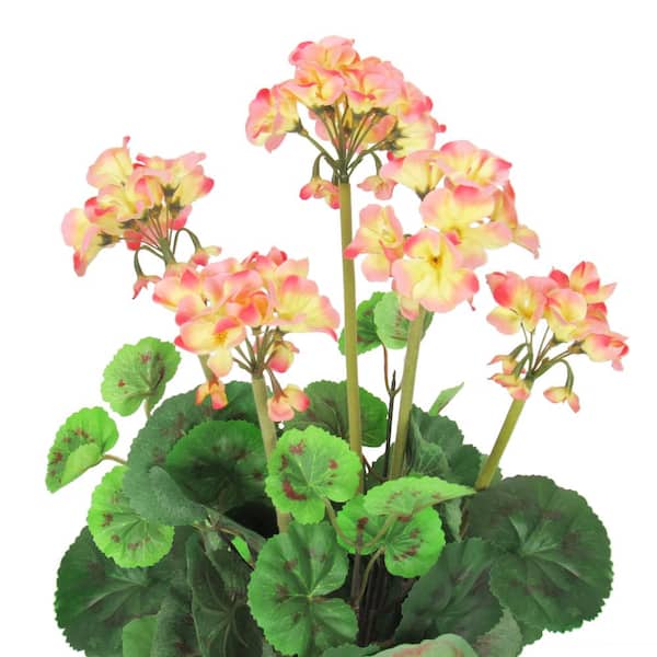 16 in. Peach Artificial Geranium Flower Stem Bush Bouquet Set of 2