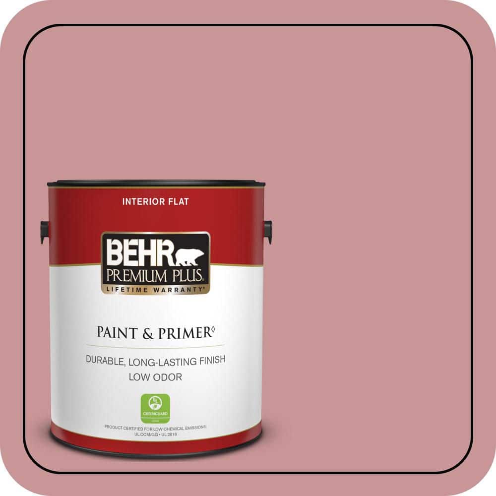1 Gal. #S140-4A Dusty Rose Flat Low Odor Interior Paint and Primer price history on PriceWatchPro