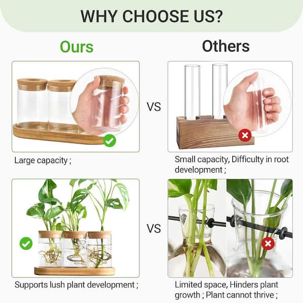OGETFUUR 3-Piece Plant Propagation Terrarium Desktop Glass Planter Station Water Planting Glass Vase with Lid and Wooden Stand