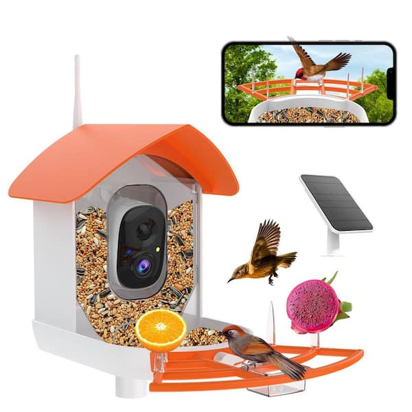 Solar-Powered Plastic Orange Smart Bird Feeder with Camera, AI Bird Recognition, Auto Recording, Real-Time Notifications