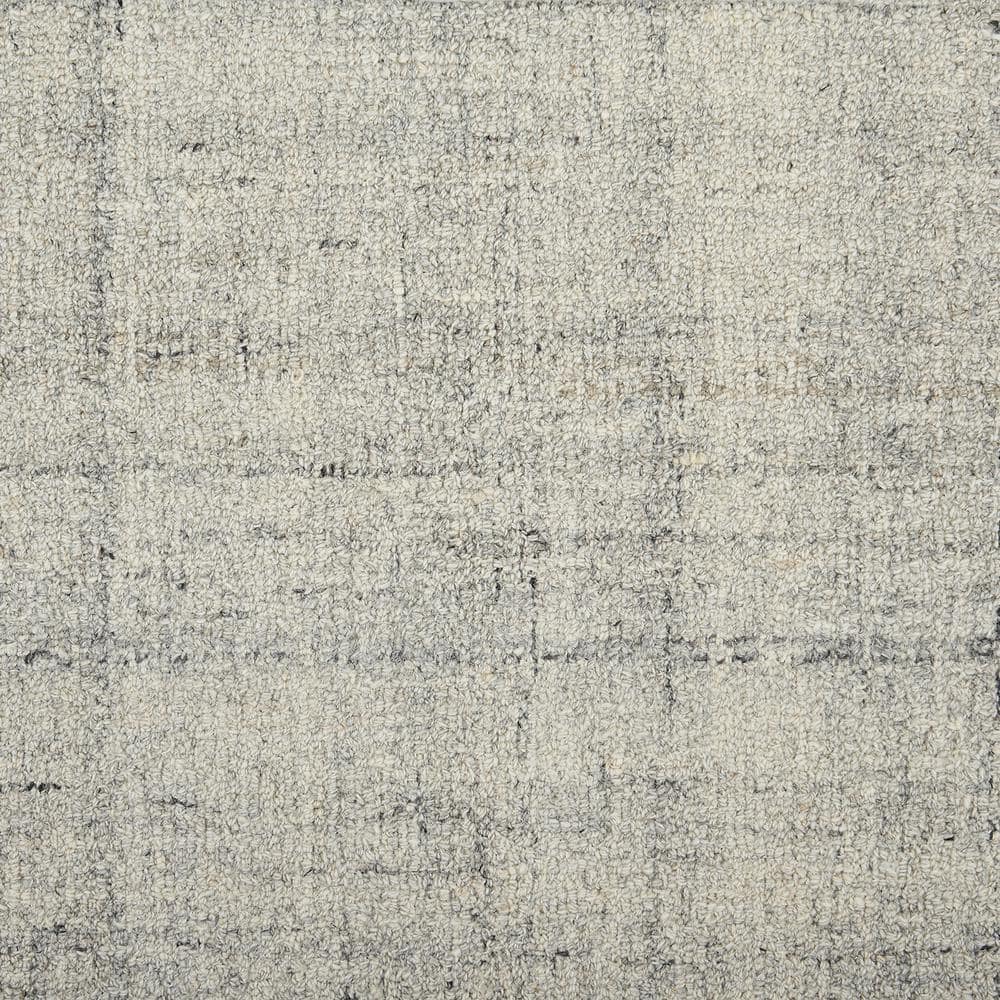 6 in. x 6 in. Texture Carpet Sample - Surface - Color Mountain price history on PriceWatchPro