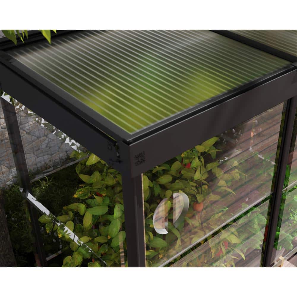 Palram Black Polycarbonate and Aluminum Mini Greenhouse