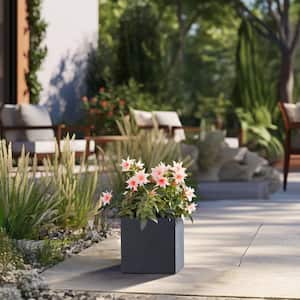 Modern 10 in. High Large Tall Square Granite Gray Outdoor Cement Planter Plant Pots