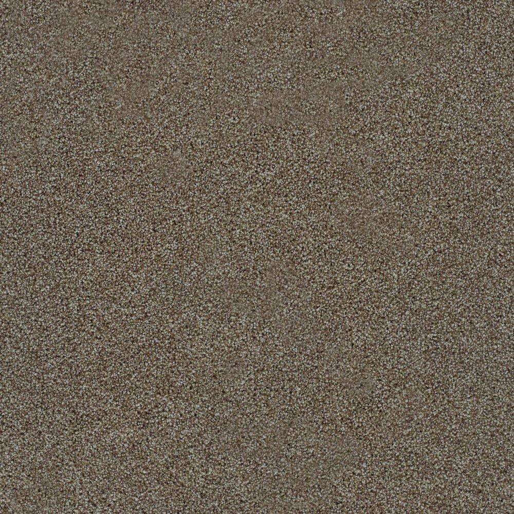 8 in. x 8 in. Texture Carpet Sample-Dewdrop II-Color Spatter price history on PriceWatchPro