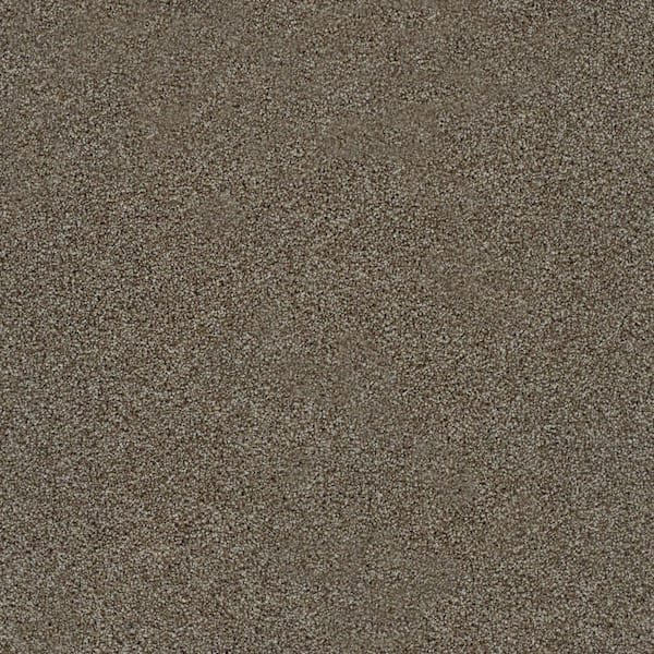 8 in. x 8 in. Texture Carpet Sample-Dewdrop II-Color Spatter