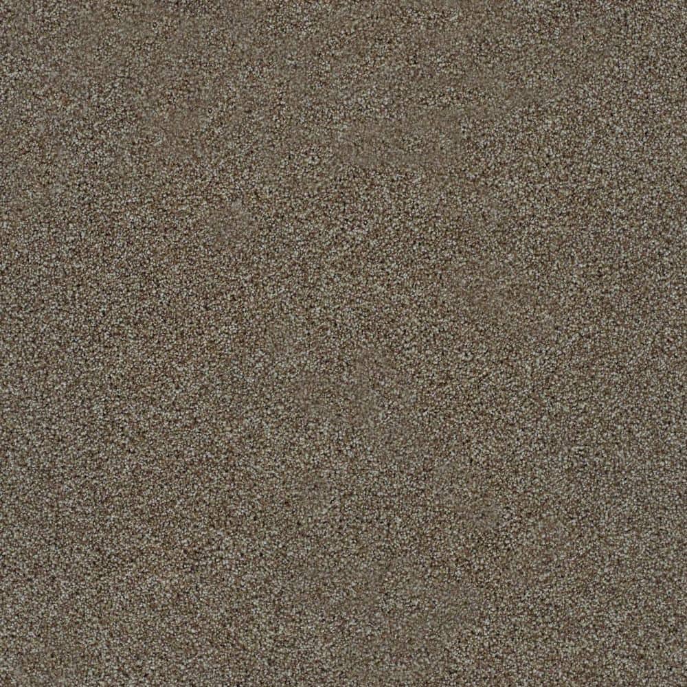 8 in. x 8 in. Texture Carpet Sample-Dewdrop III-Color Spatter price history on PriceWatchPro
