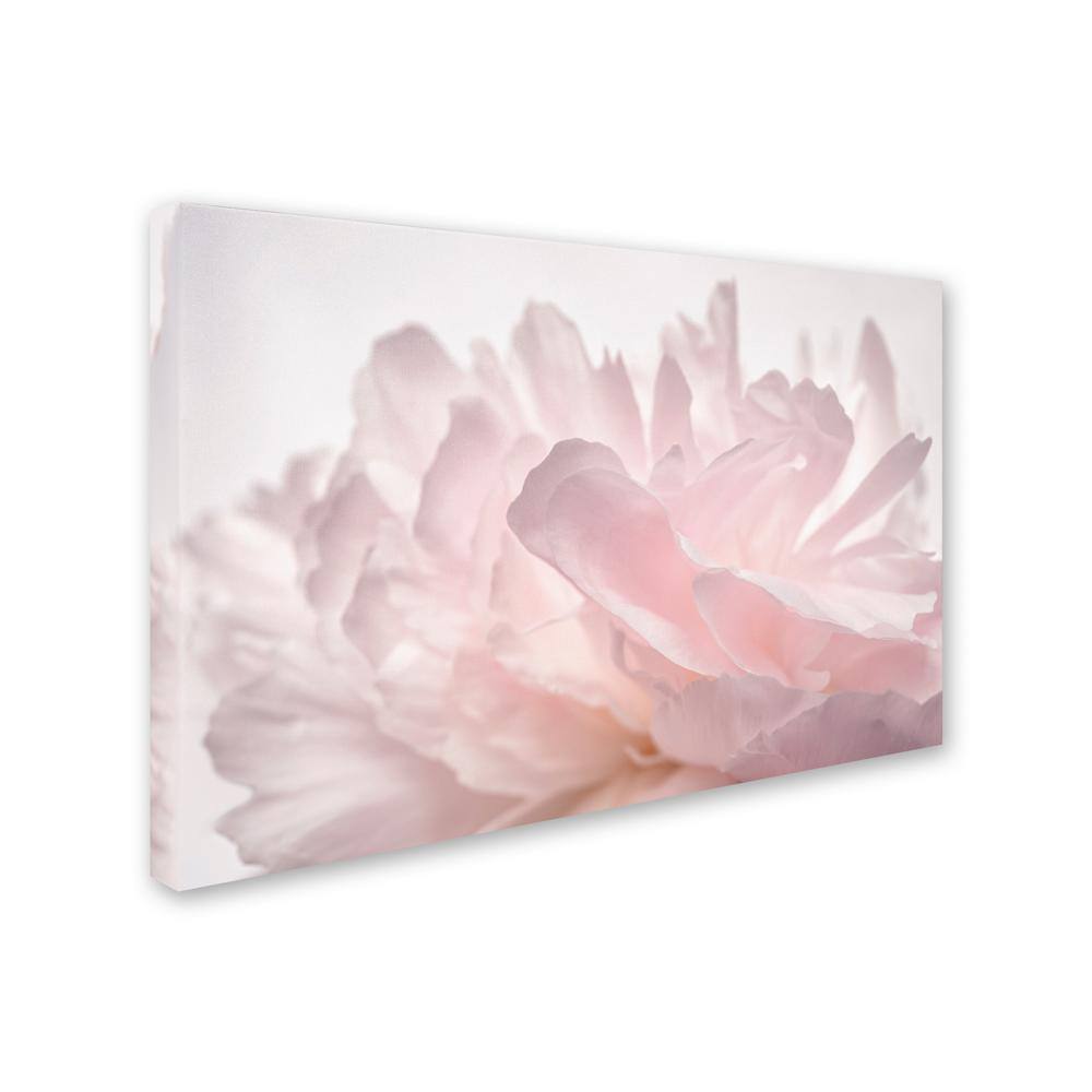 Pink Peony Petals Framed Canvas Art, 22'' x 32''