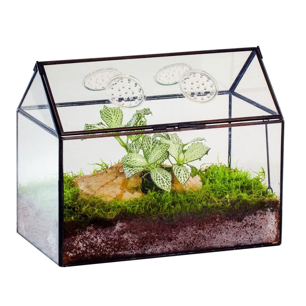 8.2 in. H House Shape Glass Terrarium with Lid and Air Holes for Snails, Succulents Plants, Small Cactus, Terrarium Only price history on PriceWatchPro
