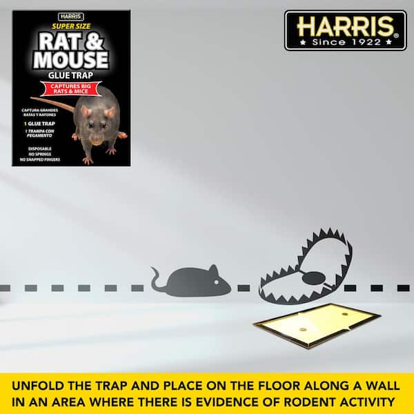 Professional rat and mouse trap, Gorilla traps, rat swatter