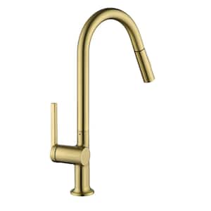 Single Handle Pull Out Sprayer Kitchen Faucet with Advanced 2-Setting Spray in Brushed Gold