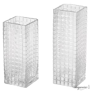 Set of 2-Square Frosted Clear Glass Table Vase - A Timeless Centerpiece for bedrooms, Dining Tables, and Living Rooms.