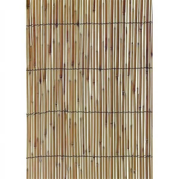 Ecostake 0.25-0.37in. Dia. 4 ft. x 16.4 ft. Reed Bamboo Screen Privacy Fence Backyard Divider Decorative Garden Fencing Natural