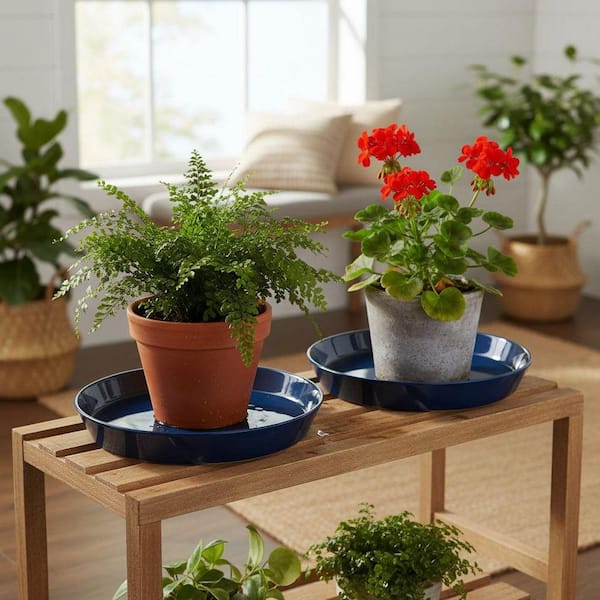 2 Pack 8 Inch Ceramic Plant Saucer YNLIN379 - The Home Depot