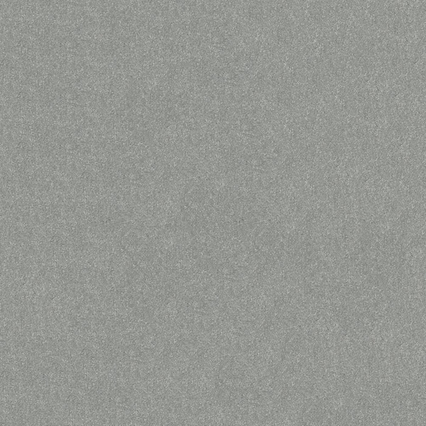 Home Decorators Collection House Party II - Garden Grove - Green 15 ft. 51.5 oz. Polyester Texture Installed Carpet