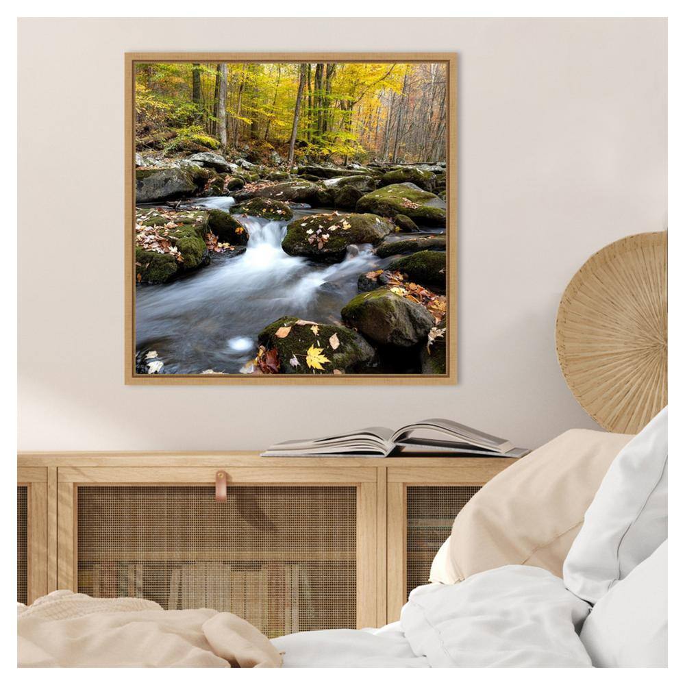 Autumn Rush Scenic Landscape Canvas Print with Maple Frame