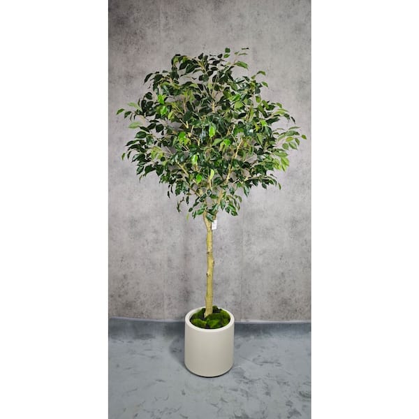 6.5 ft. Artificial Ficus Tree in White Decor Pot, Faux Green Plant Indoor Home Decorative Planter