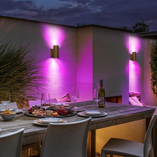 Alexa 2-Light Gold LED Cylinder Outdoor Wall Sconce Color Changing App Control with Remote