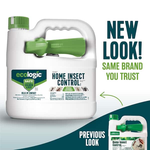 Household Products that Can Kill Pests · ExtermPRO