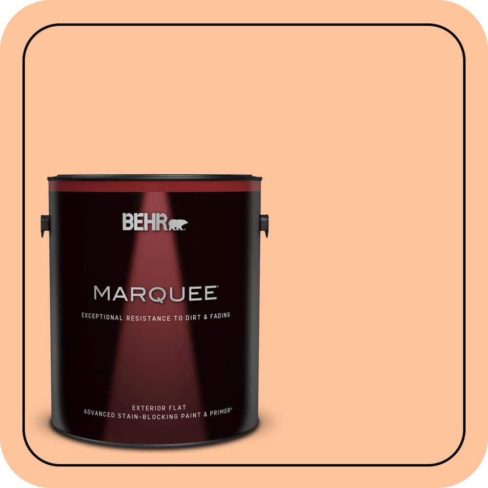 1 gal. #260B-4 Orange Sherbet Flat Exterior Paint & Primer price history on PriceWatchPro