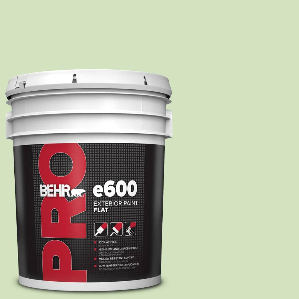 5 gal. #P380-3 Irish Folklore Flat Exterior Paint price history on PriceWatchPro