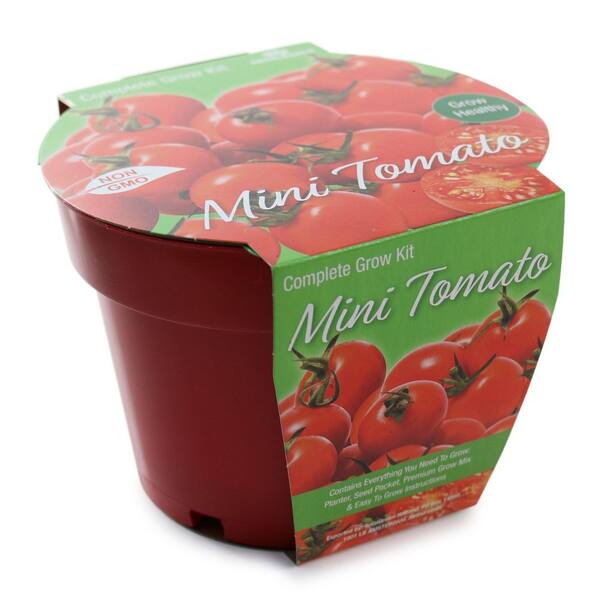national PLANT NETWORK 6.1 in. Mini Tomato Healthy Seed Grow Kit