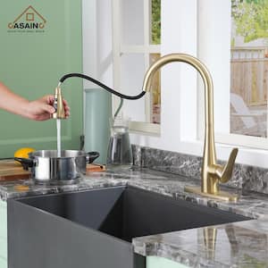 Single Handle Pull Down Sprayer Kitchen Faucet with Dual-Function Pull out Sprayer, Stainless Steel in Brushed Nickel
