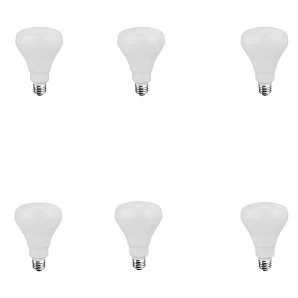 EcoSmart 65-Watt Equivalent BR30 Non-Dimmable CFL Light Bulb Soft White (6-Pack)