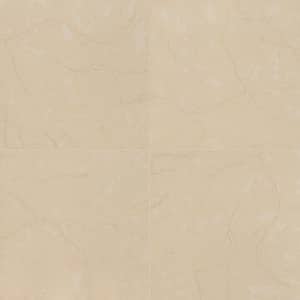 Monterosa Beige 20 in. x 20 in. Polished Porcelain Stone Look Floor and Wall Tile (19.46 sq. ft./Case)