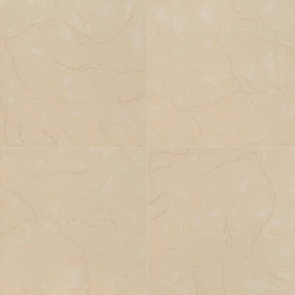 MSI Take Home Tile Sample - Monterosa Beige 4 in. x 4 in. Polished Porcelain  Floor and Wall Tile NMONBEI2020-SAM - The Home Depot