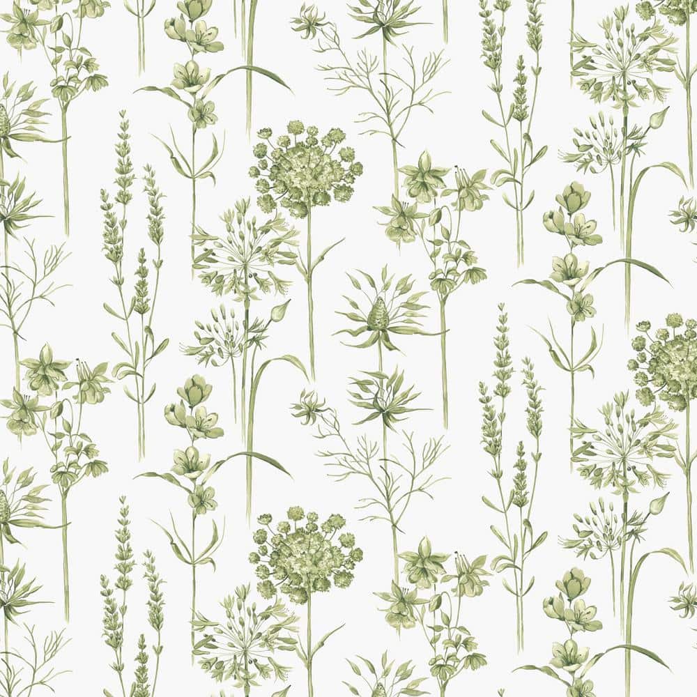 Graham & Brown Superfresco Easy Green Botanical Wildflowers Wallpaper