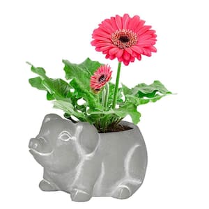 Large Natural Cement Piglet Planter