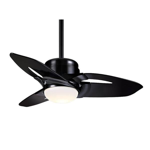 Casablanca Starlet 36 in. Glossy Black Ceiling Fan-DISCONTINUED