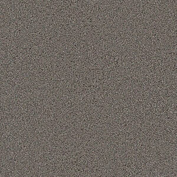 Lifeproof Carpet Sample - Harvest II - Color Buckholts Texture 8 in. x 8 in.